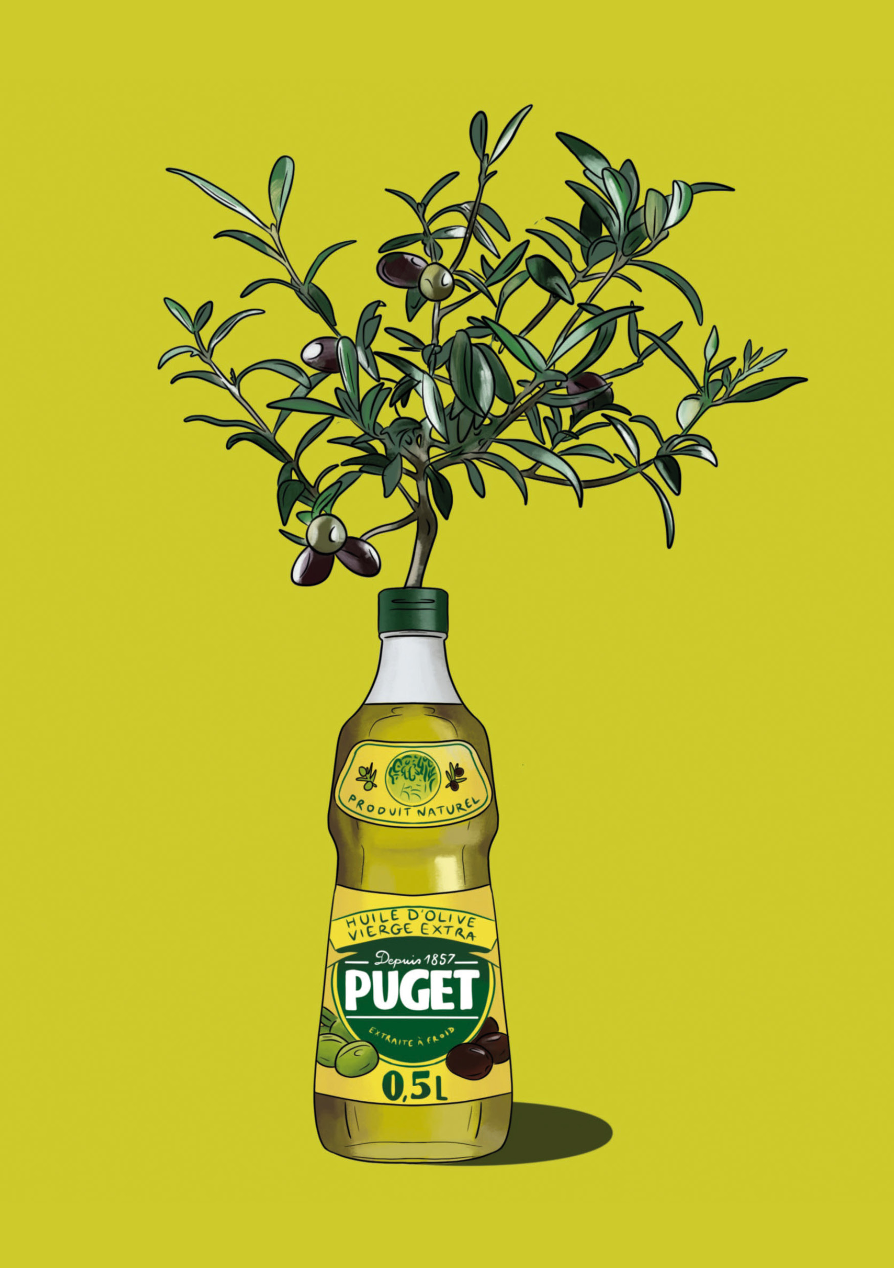 Affiche Huile d'olive & olivier