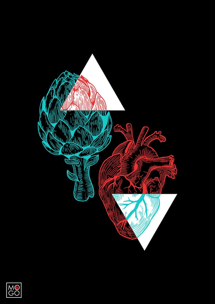 Illustration coeur anatomique artichaut gravure